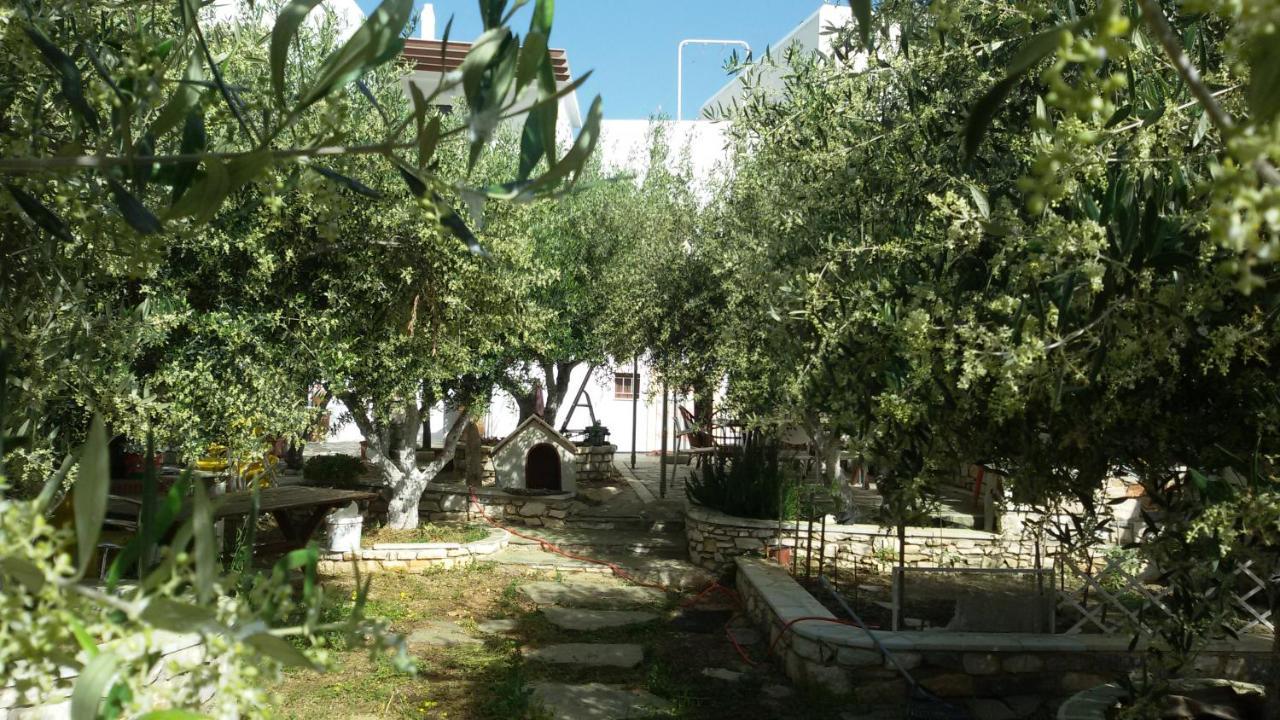 Sunset Studios And Apartments For Adults Over 21 Only Náousa Exterior foto